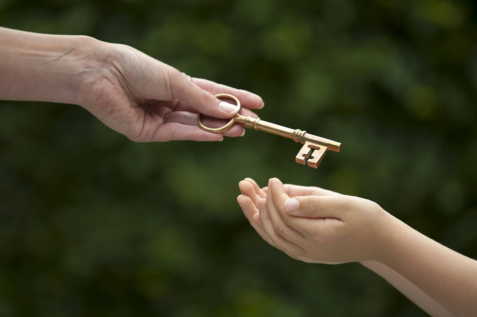 Family business succession in Hong Kong